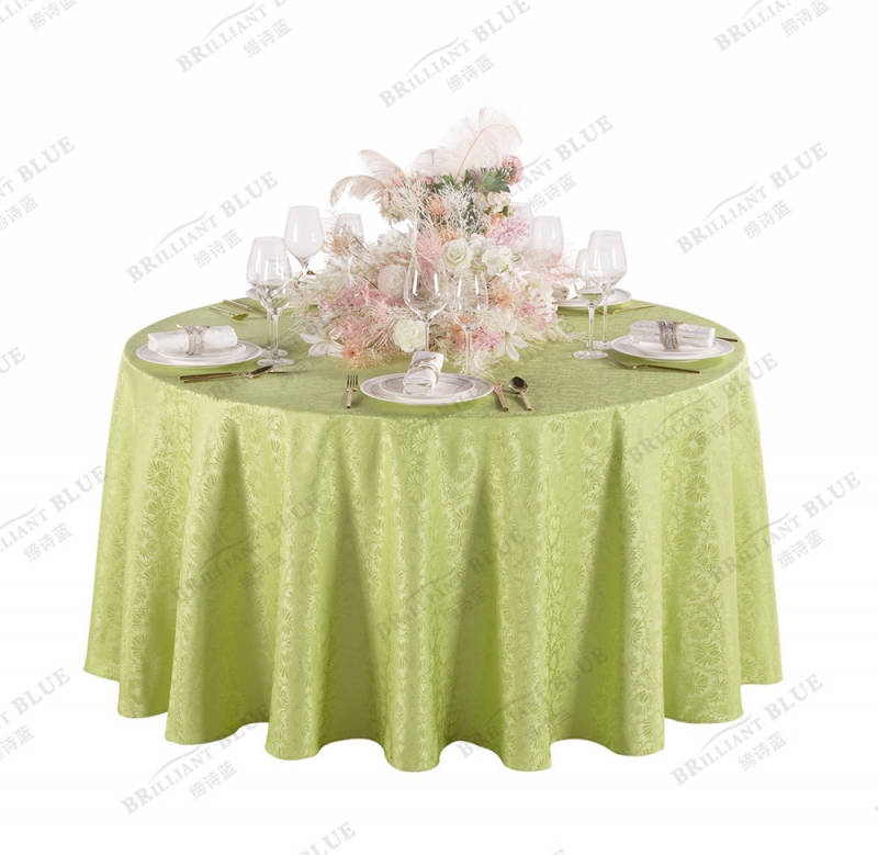 紫苑花ZYH007嫩绿色